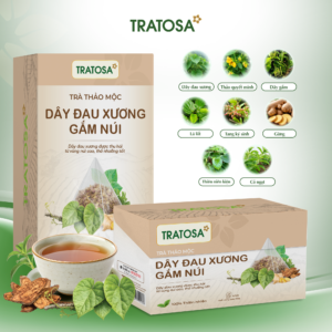 Alternative view of Trà Dây Đau Xương Gắm Núi Lào Cai Tratosa