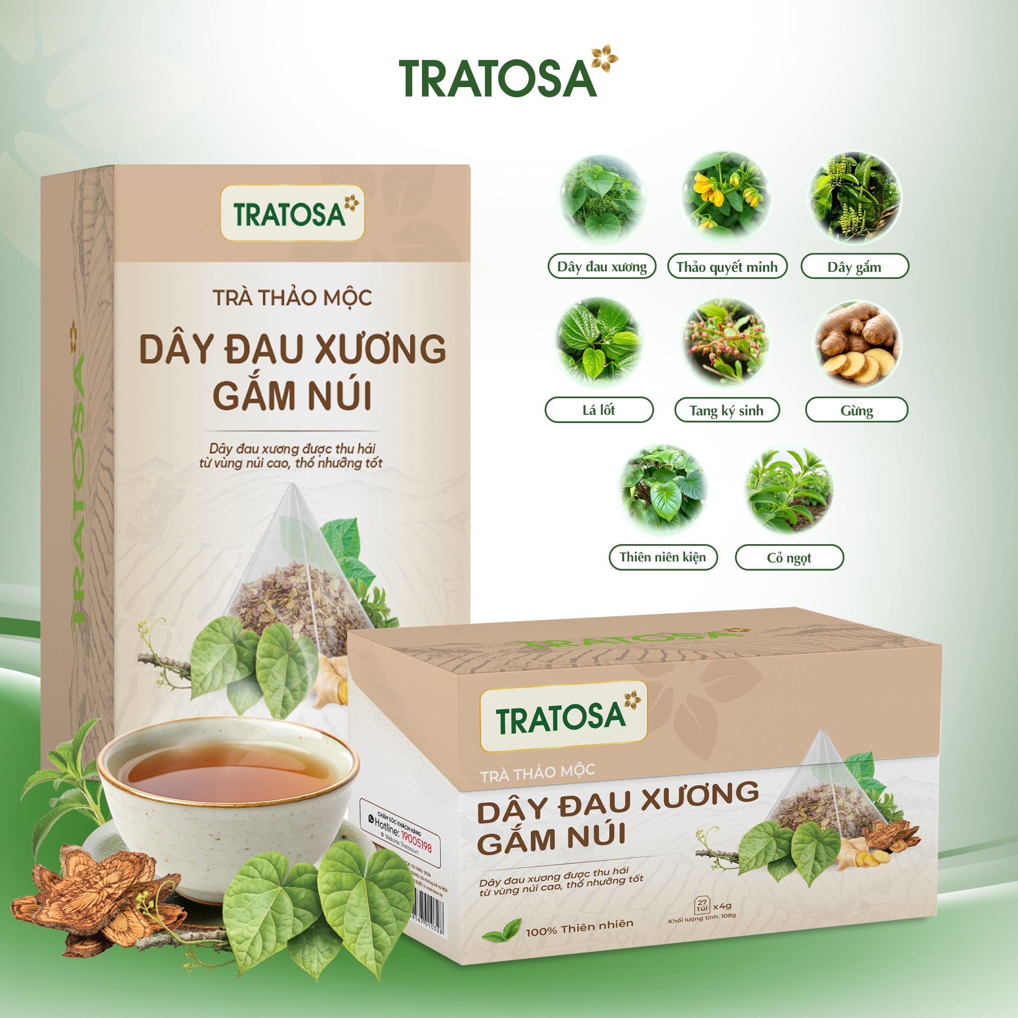 Trà Dây Đau Xương Gắm Núi Lào Cai Tratosa Trà Dây Đau Xương Gắm Núi Lào Cai Tratosa - Ảnh 2