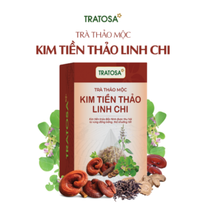 Trà Kim Tiền Thảo Linh Chi Bắc Ninh Tratosa
