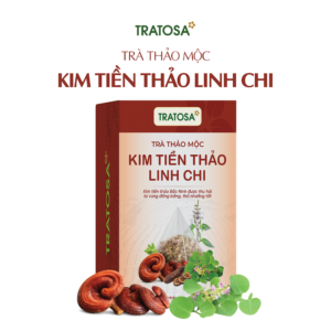 Trà Kim Tiền Thảo Linh Chi Bắc Ninh Tratosa