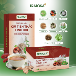 Alternative view of Trà Kim Tiền Thảo Linh Chi Bắc Ninh Tratosa