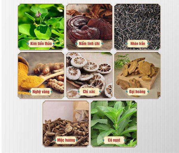 Thành phần của Trà Kim Tiền Thảo Linh Chi