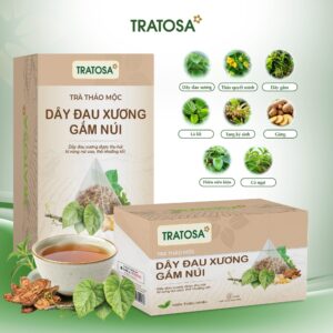 Các thành phần thảo dược trong Trà Dây Đau Xương Gắm Núi TRATOSA