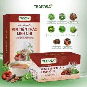 Các thành phần thảo mộc trong Trà Kim Tiền Thảo Linh Chi TRATOSA