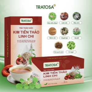 Trà Kim Tiền Thảo Linh Chi Tratosa với thành phần linh chi, kim tiền thảo, nhân trần hỗ trợ thanh nhiệt giải độc
