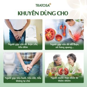 Đối tượng phù hợp sử dụng Trà Kim Tiền Thảo Linh Chi TRATOSA