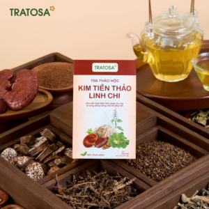 tra kim tien thao linh chi 5