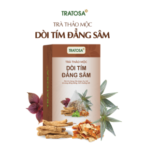 Trà Dòi Tím Đẳng Sâm Hưng Yên Tratosa