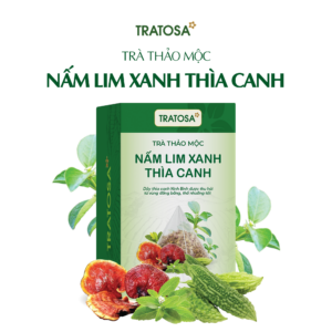 Trà Nấm Lim Xanh Thìa Canh Ninh Bình Tratosa