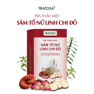 Trà Sâm Tố Nữ Linh Chi Đỏ Đà Lạt Tratosa