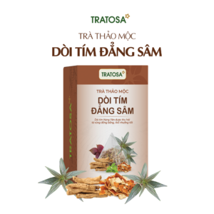 Trà Dòi Tím Đẳng Sâm Hưng Yên Tratosa