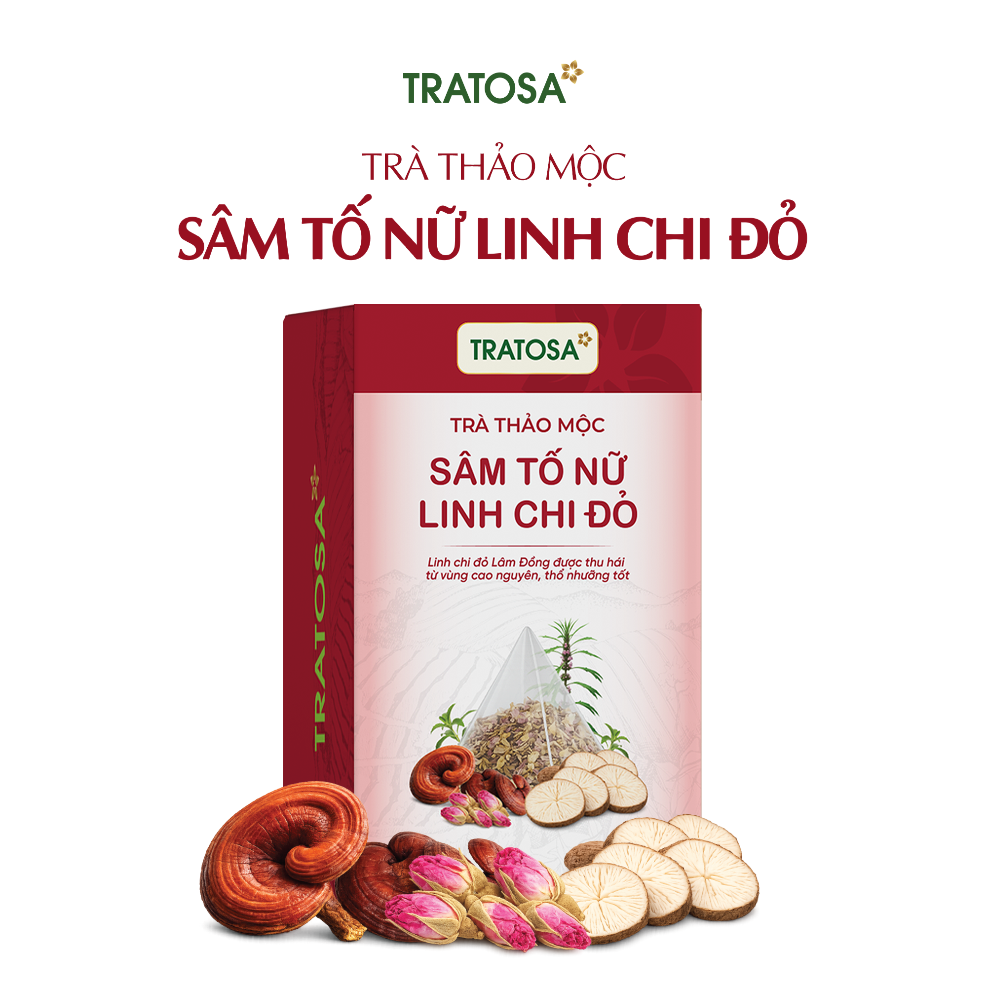 Trà Sâm Tố Nữ Linh Chi Đỏ Đà Lạt TRATOSA Trà Sâm Tố Nữ Linh Chi Đỏ Đà Lạt TRATOSA