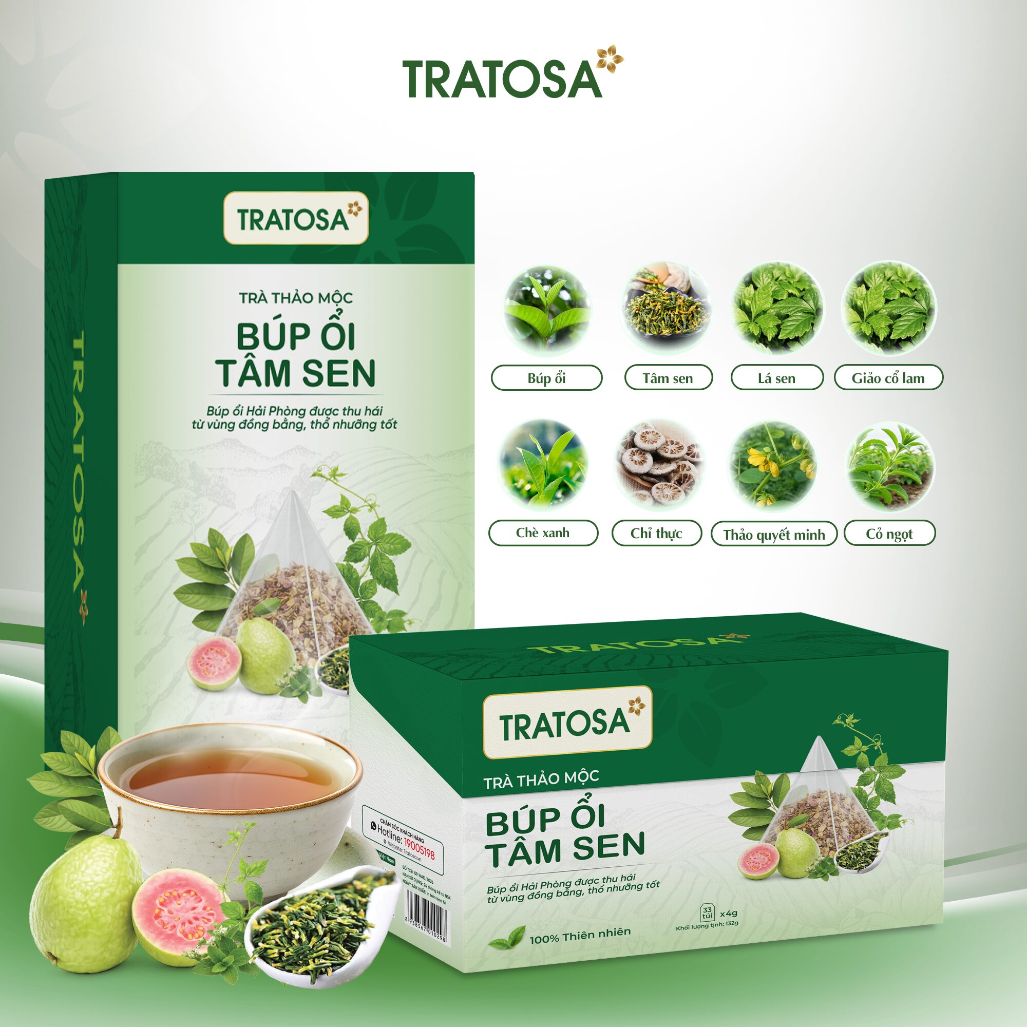 Trà Búp Ổi Tâm Sen Các thành phần thảo dược trong Trà Búp Ổi Tâm Sen TRATOSA