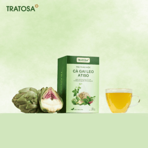 tra ca gai leo atiso 1