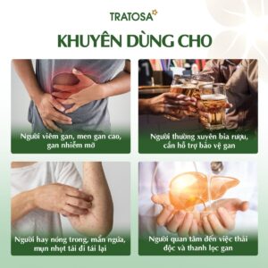 Người quan tâm đến sức khỏe gan sử dụng Trà Cà Gai Leo Atiso TRATOSA