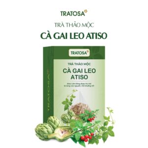 Trà Cà Gai Leo Atiso TRATOSA kết hợp cà gai leo và atiso Lâm Đồng