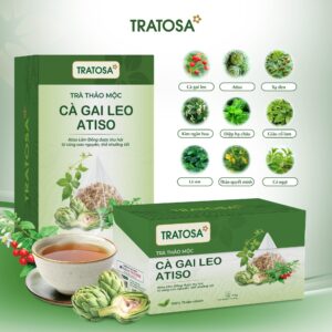 Các thành phần thảo dược trong Trà Cà Gai Leo Atiso TRATOSA