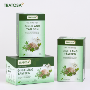 Trà thảo mộc Đinh Lăng Tâm Sen tra dinh lang tam sen 2