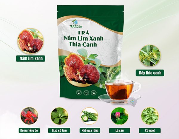 Các thảo dược có trong Trà Nấm Lim Xanh Thìa Canh