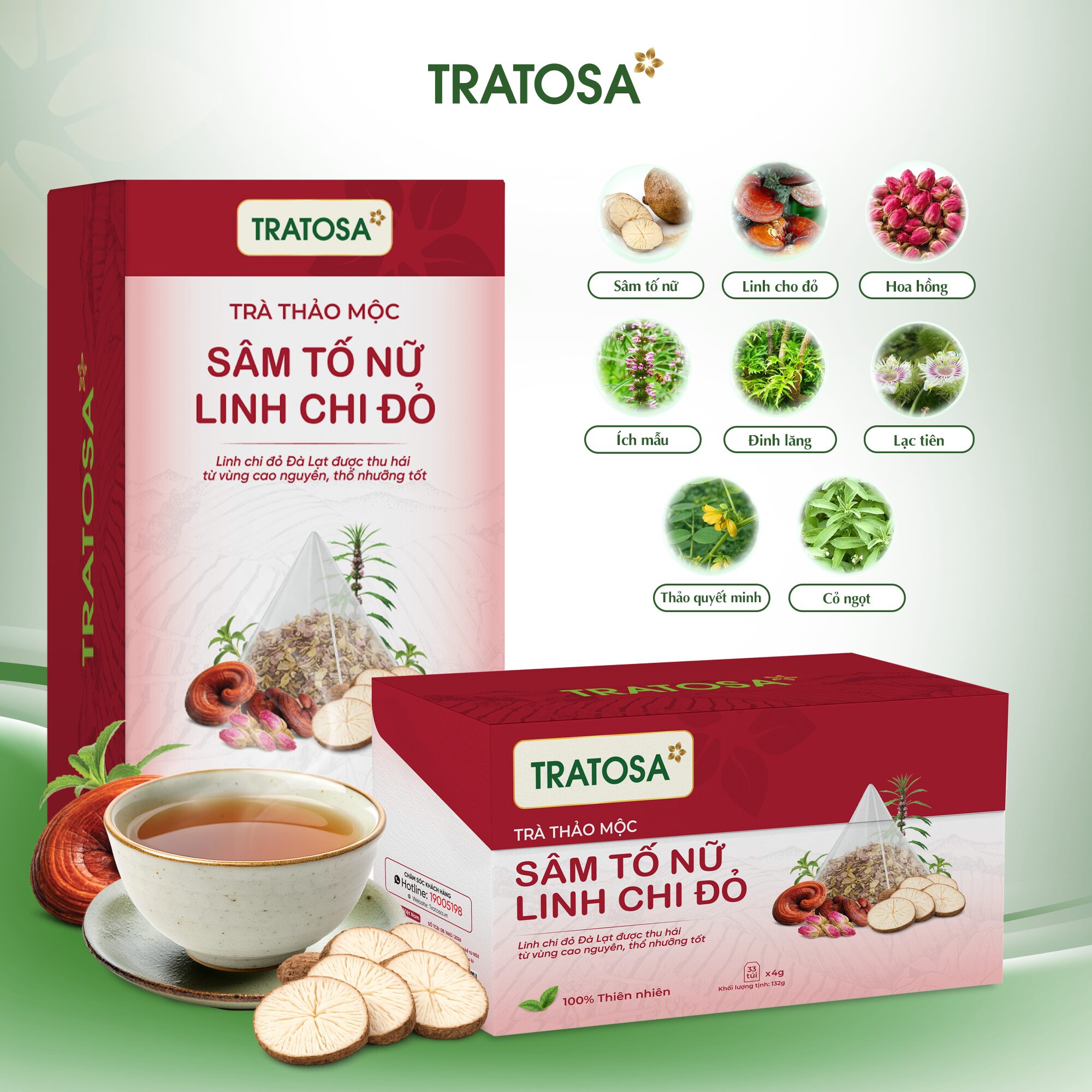 Trà Sâm Tố Nữ Linh Chi Đỏ Các thành phần thảo mộc trong Trà Sâm Tố Nữ Linh Chi Đỏ