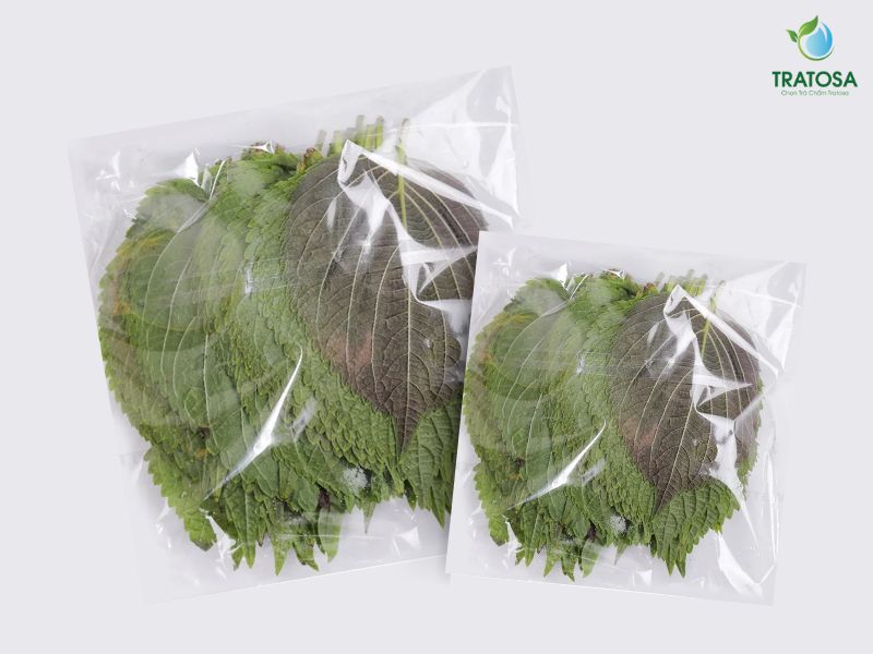 Cách bảo quản nước lá tía tô đúng cách