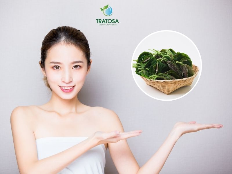 Uống lá tía tô có tác dụng gì - Làm trắng da và ngăn ngừa lão hóa