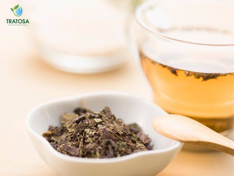 Uống lá tía tô tươi hay khô thì tốt hơn? Lợi ích, cách sử dụng tía tô Uống lá tía tô tươi