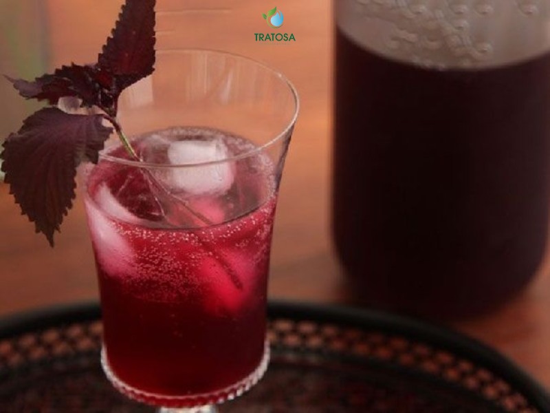 Các bước làm trà tía tô khô tại nhà