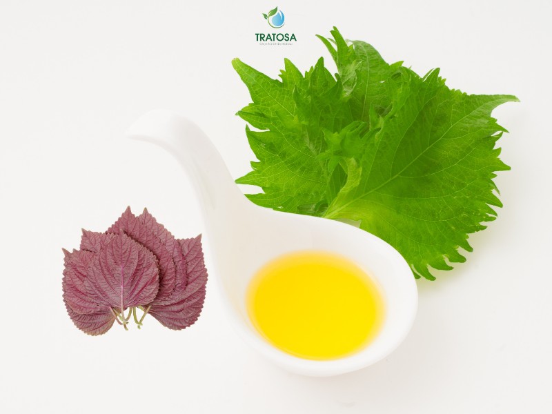 Cách pha trà tía tô đơn giản tại nhà