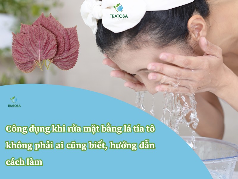 Công dụng khi rửa mặt bằng lá tía tô