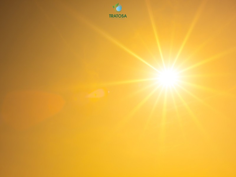 Đắp mặt nạ lá tía tô có bắt nắng không?