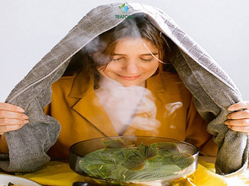 Ngày nào cũng xông mặt bằng lá tía tô có tốt không?