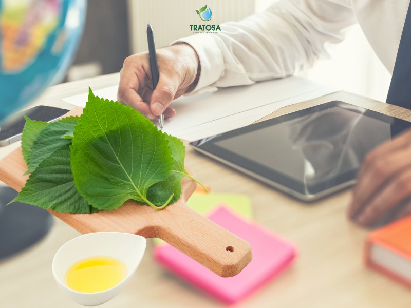 Những ai không nên uống nước lá tía tô