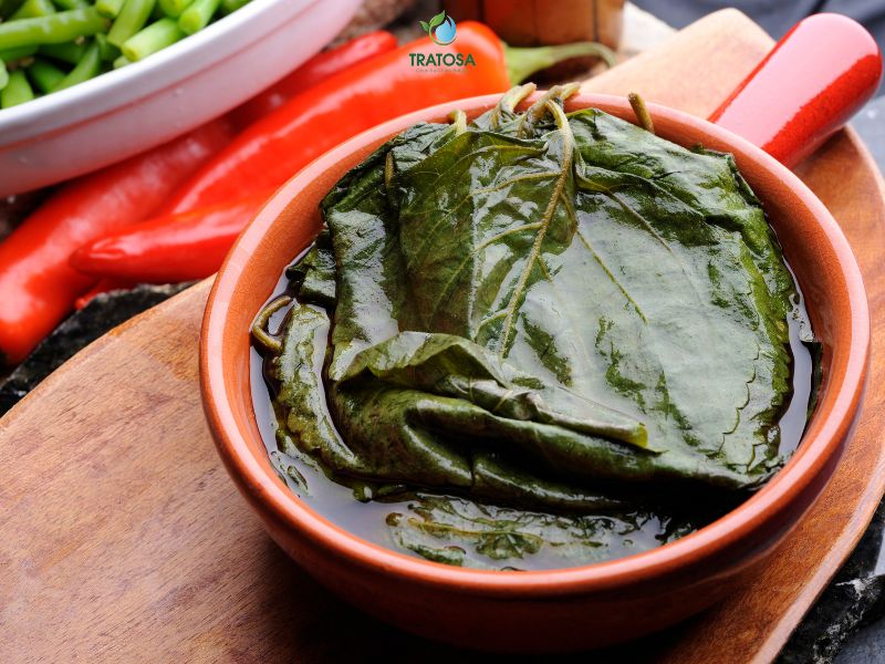 Những điều cần lưu ý khi uống nước lá tía tô