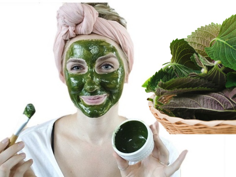 Những lưu ý khi sử dụng mặt nạ lá tía tô