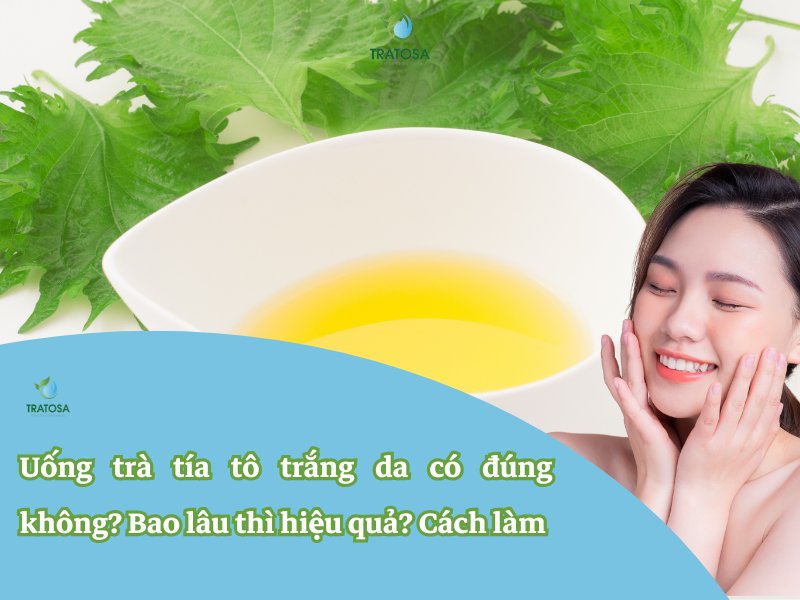 Uống trà tía tô trắng da có đúng không? 