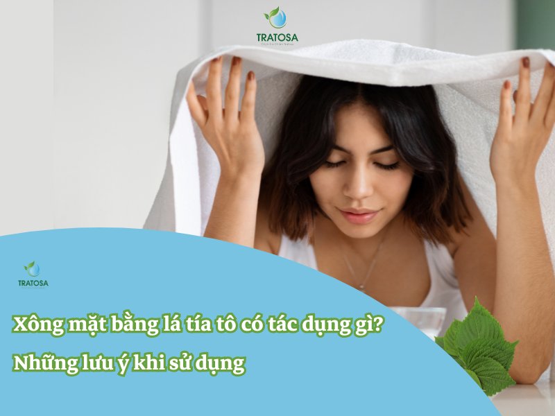 Xông mặt bằng lá tía tô có tác dụng gì? Những lưu ý khi sử dụng