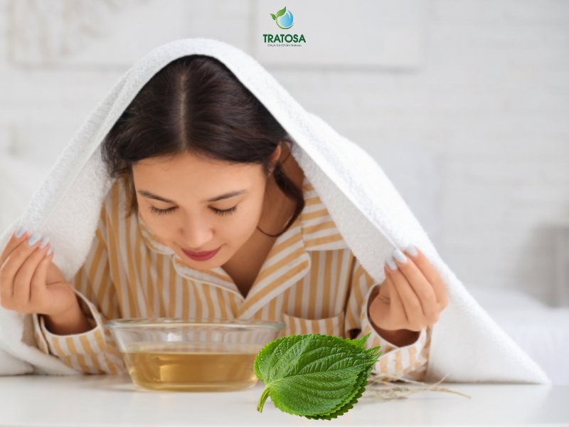 Xông mặt bằng lá tía tô có tác dụng gì?