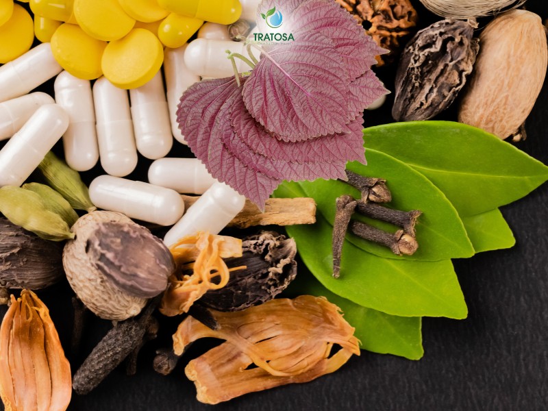 Tác dụng lá tía tô trị ho là gì? Hướng dẫn 3 cách sử dụng hiệu quả Các bài thuốc từ lá tía tô (hình minh họa)