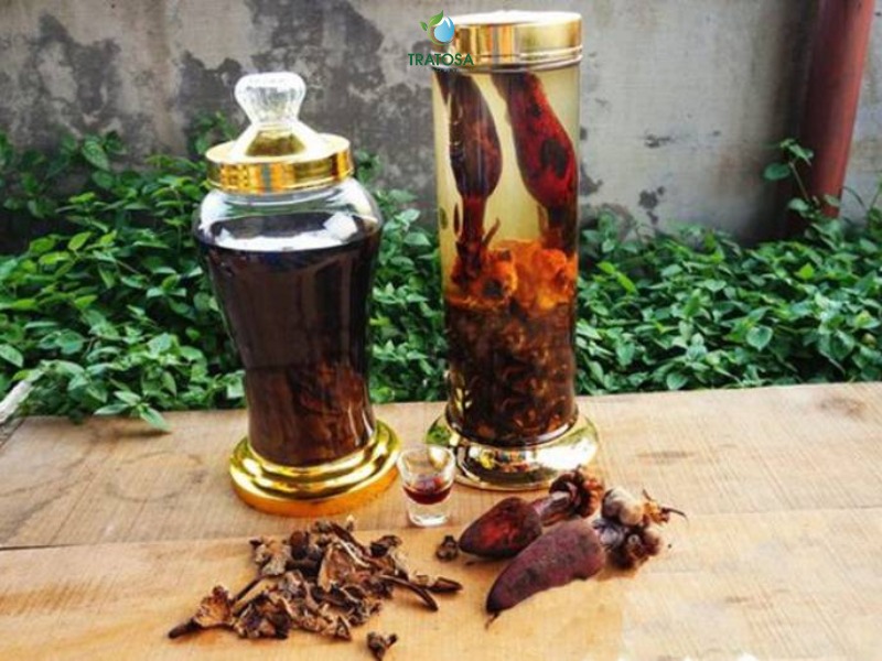 Cách ngâm rượu nấm ngọc cẩu