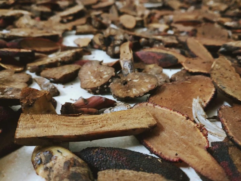 Cách sử dụng nấm ngọc cẩu