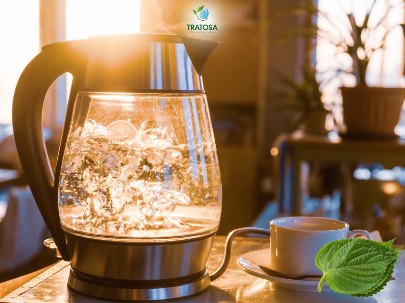 Hướng dẫn cách nấu nước lá tía tô đúng cách