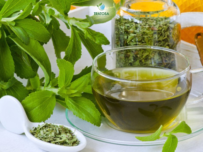 Cỏ ngọt có tác dụng gì? Cách làm trà cỏ ngọt tại nhà đơn giản Hướng dẫn làm trà cỏ ngọt tại nhà