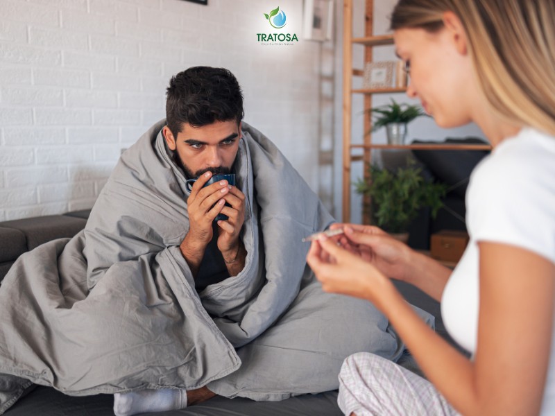 Lá tía tô giúp giải cảm