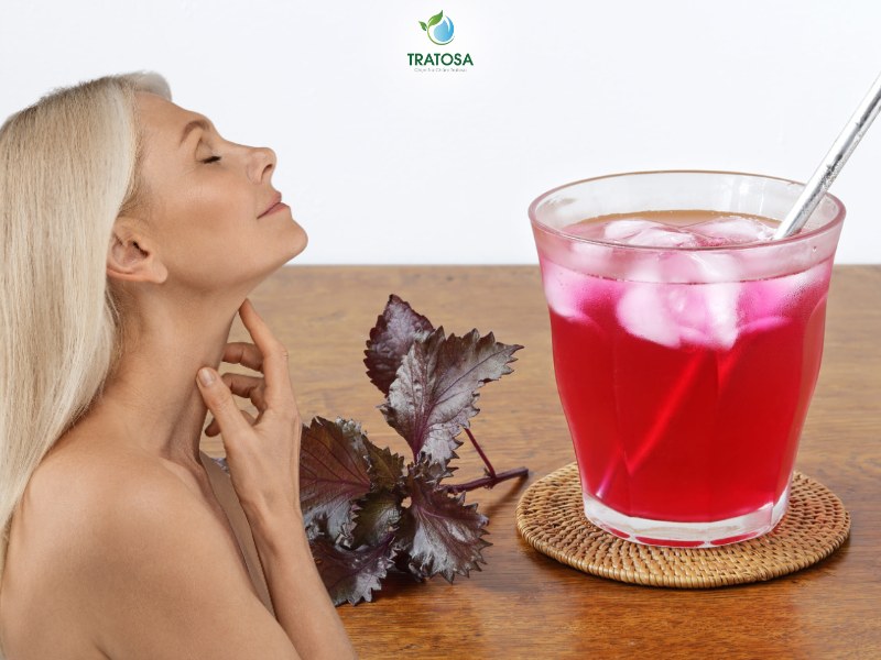 Chữa nám bằng lá tía tô hiệu quả bằng cách uống nước