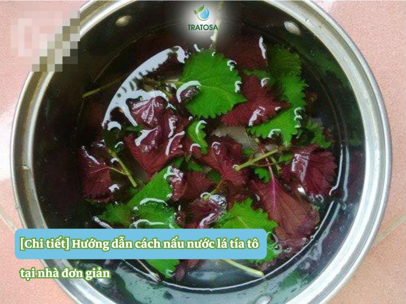 [Chi tiết] Hướng dẫn cách nấu nước lá tía tô tại nhà đơn giản