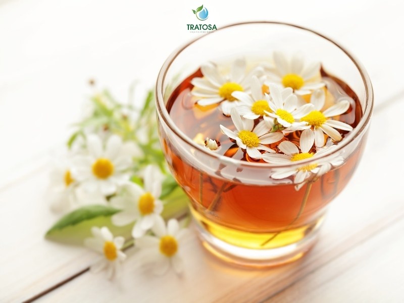 10+ loại trà thảo dược chữa mất ngủ hiệu quả cho người già và trung niên | Cách để có 1 giấc ngủ trọn vẹn Sử dụng trà hoa cúc chữa mất ngủ