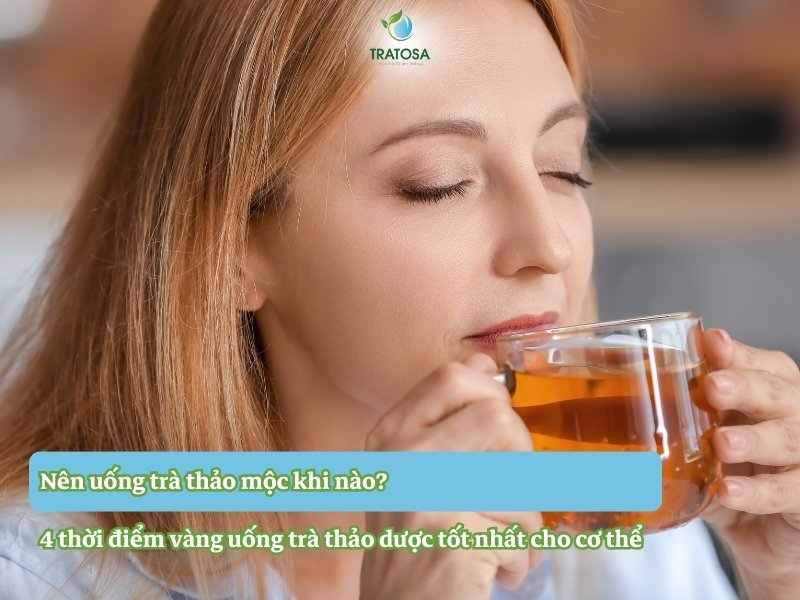 Nên uống trà thảo mộc khi nào? 4 thời điểm vàng uống trà thảo dược tốt nhất cho cơ thể