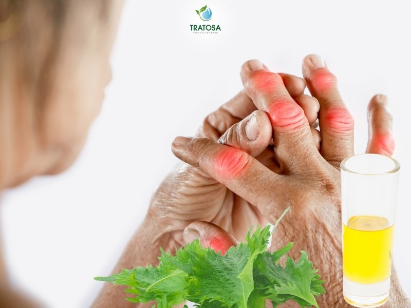 Nước lá tía tô hỗ trợ cải thiện bệnh gout