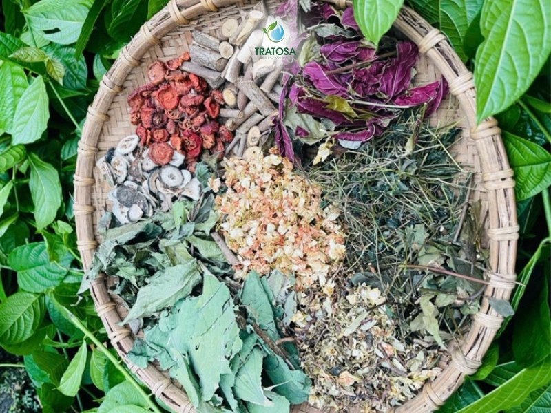 Trà lá nam là gì?